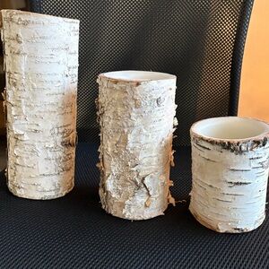 Rustic Birch Bark Flame less Candle Holders Set
